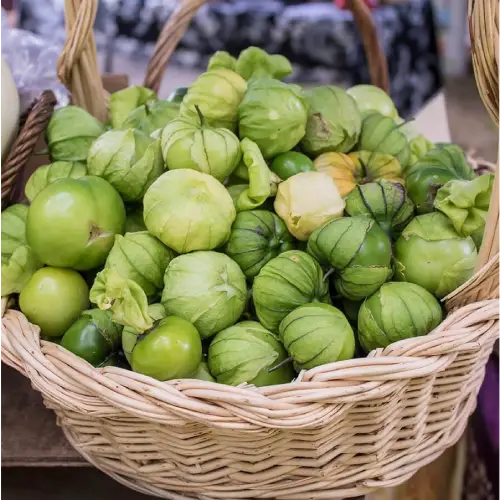 Tomatillo Verde Fresco Mexicano